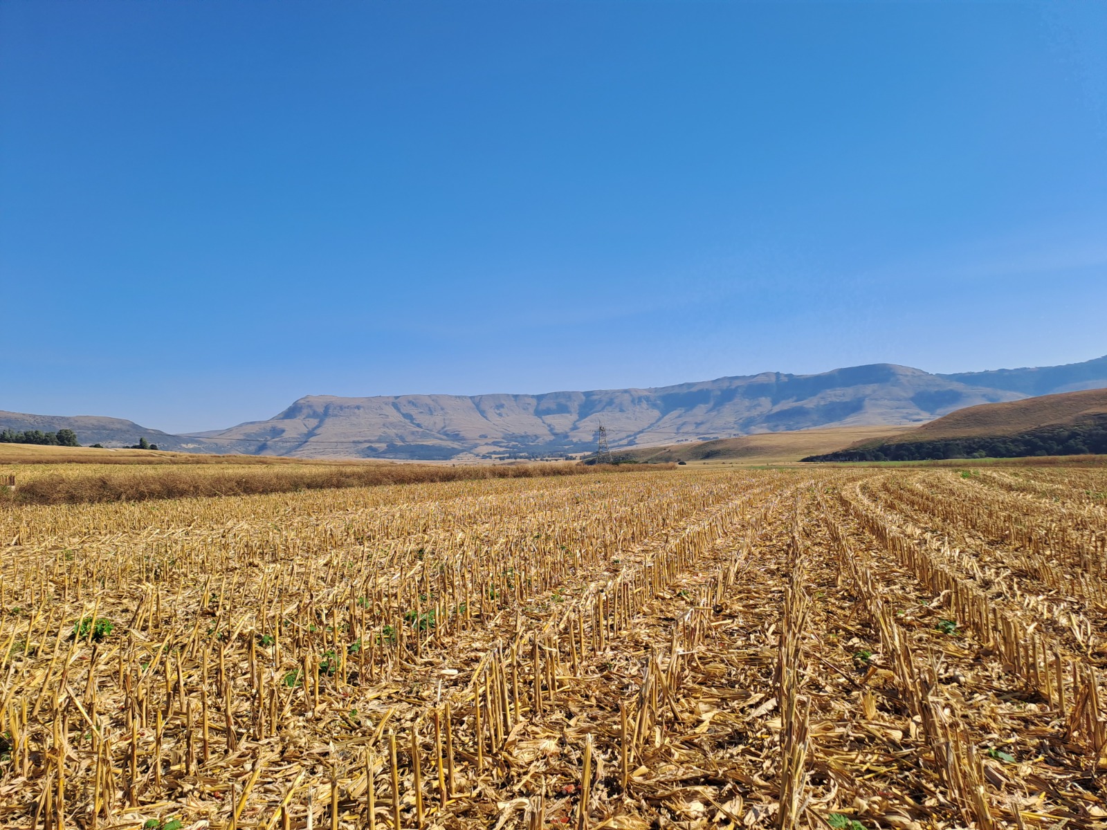 Transalloys hazardous waste and soil assessment in Emalahleni, Mpumalanga